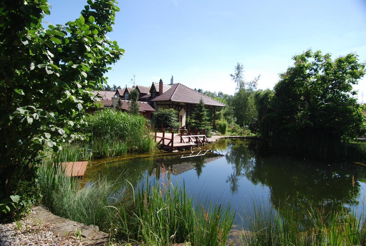 Ivanek Guest House Zvikovske Podhradi Exterior photo